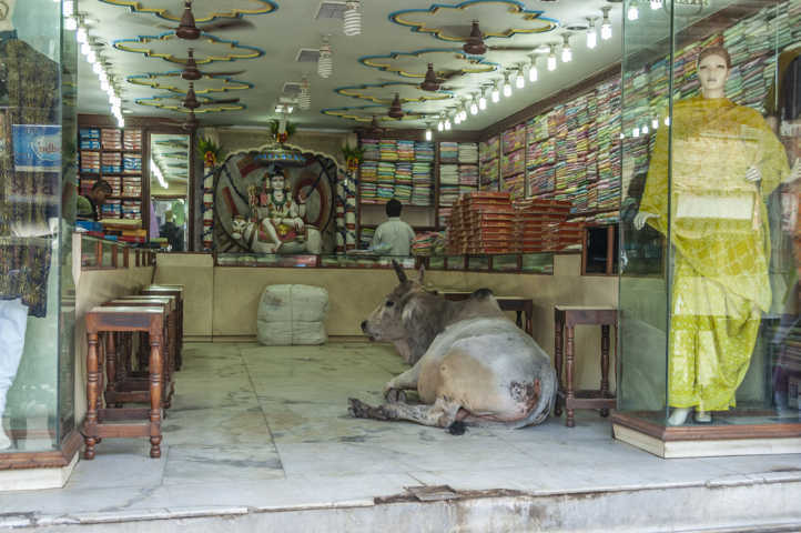 57 - India - Varanasi